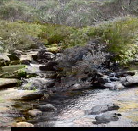 Thredbo River Track - Accommodation Adelaide