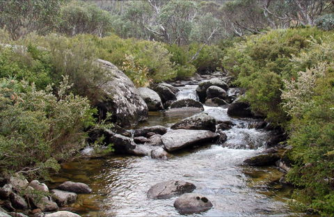 Thredbo River Track - Accommodation Adelaide 0