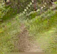 Three Views walking track - Accommodation Adelaide