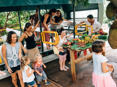 Tropical Fruit World - Accommodation Adelaide 2