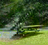 Williams River picnic area - Accommodation Adelaide