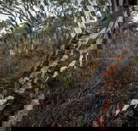 Yanununbeyan State Conservation Area - Accommodation Adelaide