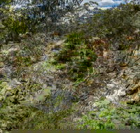 Yarrambat Park - Accommodation Adelaide