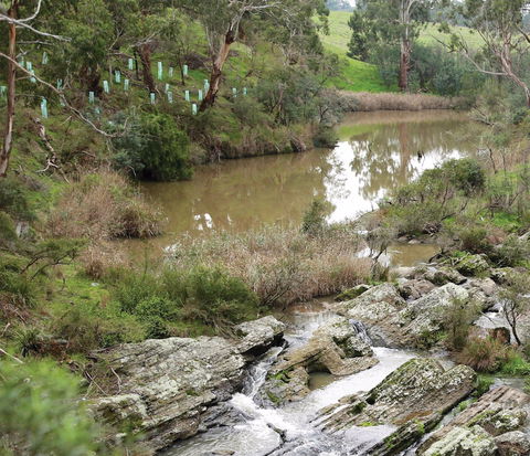 Yarrambat Park - Accommodation Adelaide 1