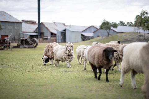 14 Day Gems Of The Outback - Accommodation Adelaide 2