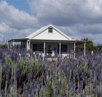 Amandine Lavender - Accommodation Adelaide