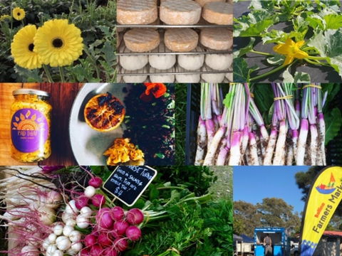 Ballina Farmers Market - Accommodation Adelaide 1