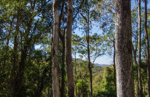 Basin Loop Track - Accommodation Adelaide 0