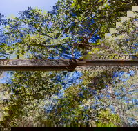 Bribie Island Bicentennial Trails - Accommodation Adelaide