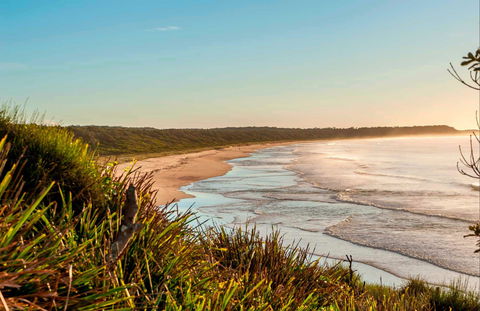 Burrawang Track - Conjola Beach To Buckleys Point - Accommodation Adelaide 0