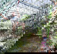 Cairns ZOOM and Wildlife Dome - Accommodation Adelaide