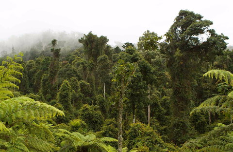 Cascade National Park - Accommodation Adelaide 0