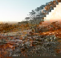 Chick Hill Walk - Accommodation Adelaide