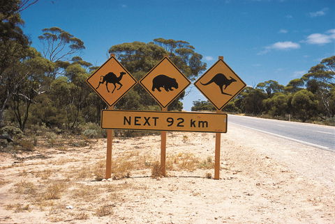Eyre Highway - Accommodation Adelaide 1