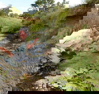 Gold Panning Deep Creek - Accommodation Adelaide