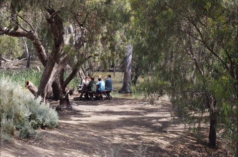 Hay Weir - Accommodation Adelaide 2