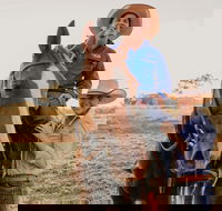 Katherine Outback Experience - Horse Riding Experience - Accommodation Adelaide