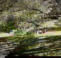 Leura Cascades picnic area - Accommodation Adelaide