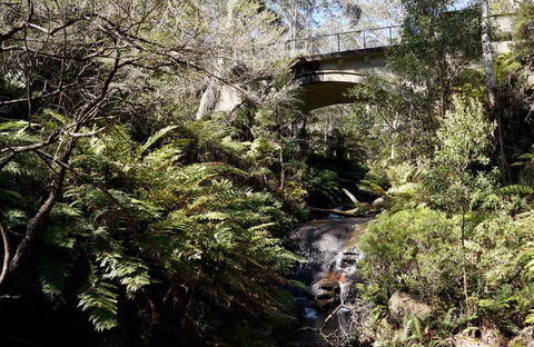 Leura Cascades Picnic Area - Accommodation Adelaide 1