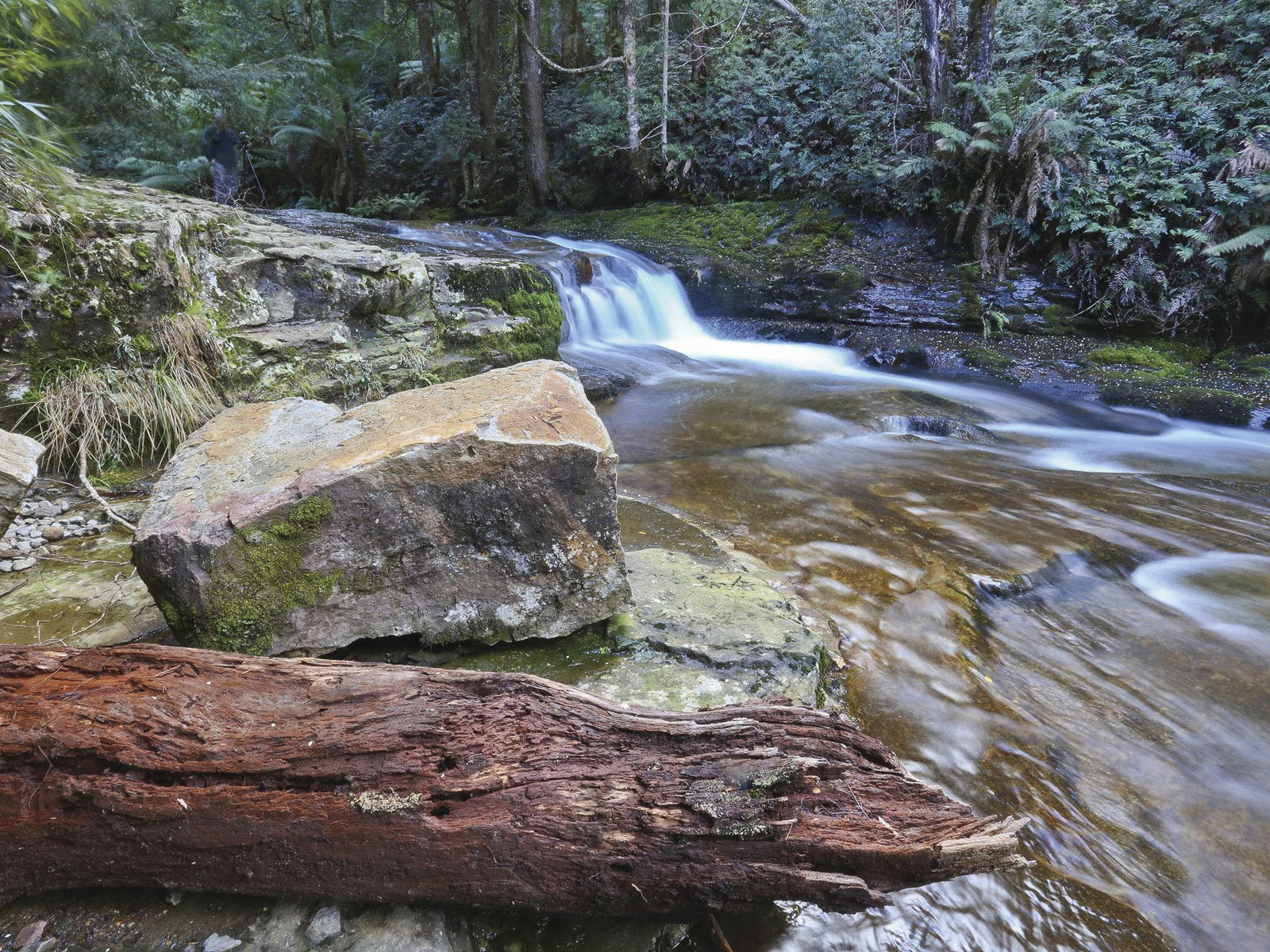 Liffey TAS Accommodation Adelaide