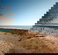 Mon Repos Beach - Accommodation Adelaide