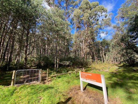 Mount Torbreck Summit Walk - Accommodation Adelaide 1