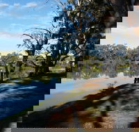 Murray River National Park - Katarapko - Accommodation Adelaide