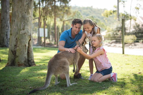 Paradise Country - Accommodation Adelaide 2