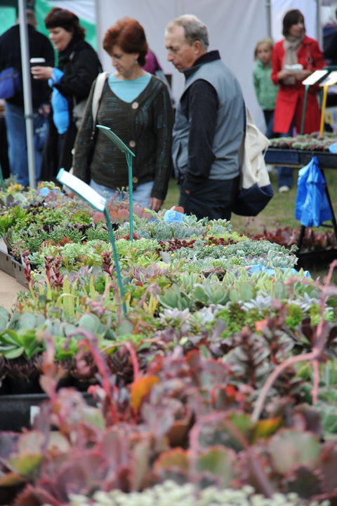 Portsea Market - Accommodation Adelaide 0
