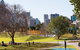 Prince Alfred Park - thumb 0