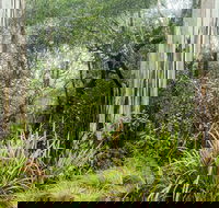 River walking track - Accommodation Adelaide