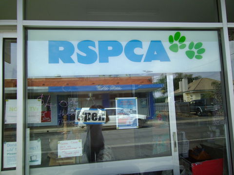 R.S.P.C.A Opportunity Shop - Accommodation Adelaide 0