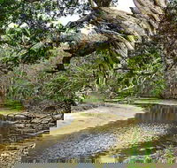 Saltwater National Park - Accommodation Adelaide