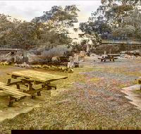 Thredbo River picnic area - Accommodation Adelaide