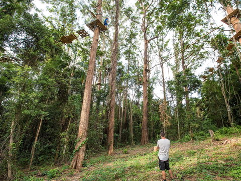 TreeTop Challenge - Sunshine Coast - Accommodation Adelaide 1