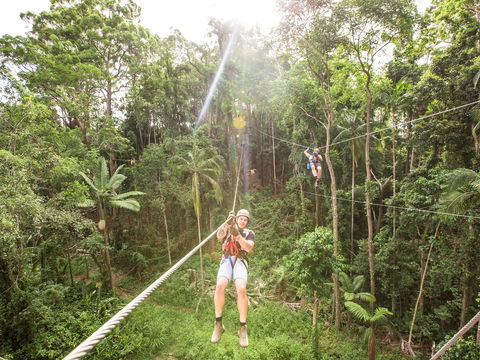 TreeTop Challenge - Sunshine Coast - Accommodation Adelaide 2