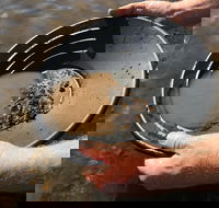 Tuena Panning for Gold - Accommodation Adelaide