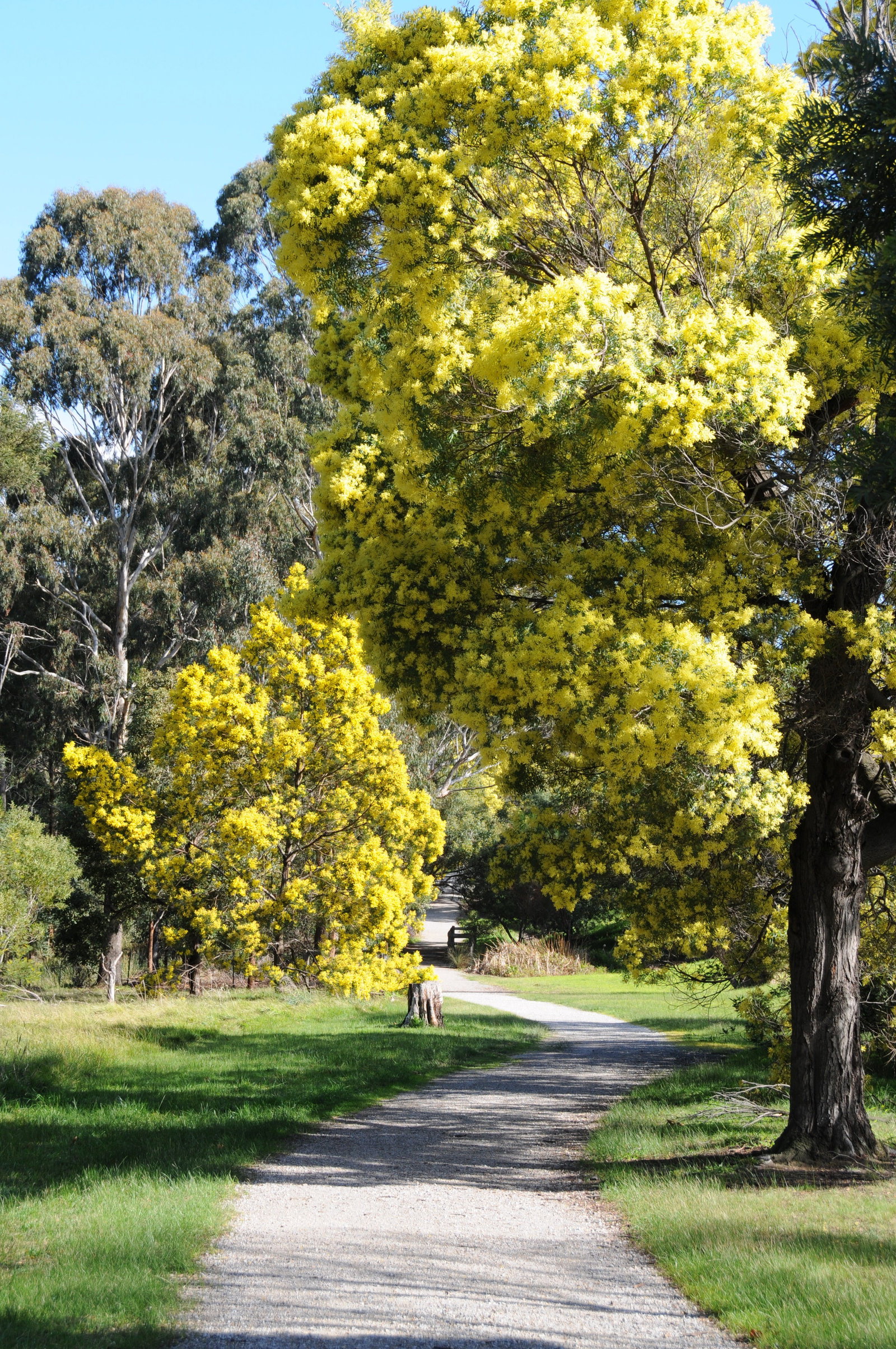 Kilsyth VIC Accommodation Adelaide