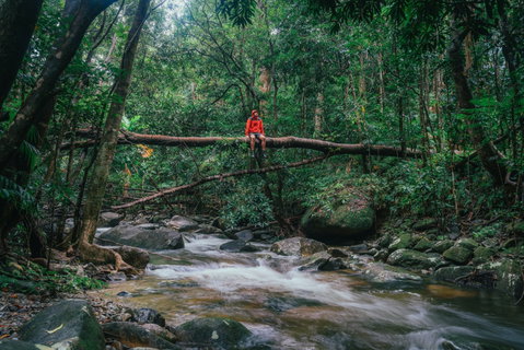 Wet Tropics Rainforest - Accommodation Adelaide 1