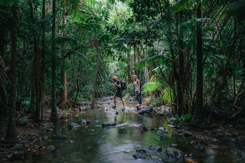 Wet Tropics Rainforest - Accommodation Adelaide 2