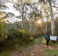 Yarrangobilly Caves  River walk - Accommodation Adelaide