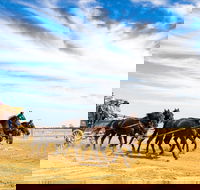 7 Day Outback Giants - Accommodation Adelaide