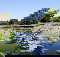 Anderson Park Botanic Gardens - Accommodation Adelaide