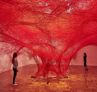 Art Gallery of South Australia - Accommodation Adelaide