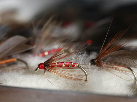 Australian Fly Fishing Museum - Accommodation Adelaide 0