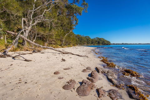 Barfleur Beach - Accommodation Adelaide 0