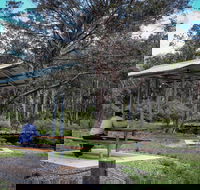 Barrington Tops State Forest - Accommodation Adelaide