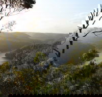 Berowra Valley National Park - Accommodation Adelaide