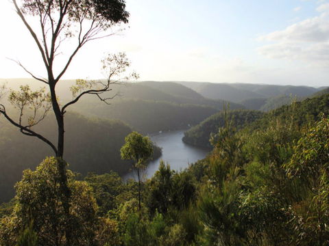 Berowra Valley National Park - Accommodation Adelaide 0