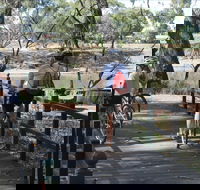 Bidgee Riverside Trail  - Hay Nature Walk - Accommodation Adelaide